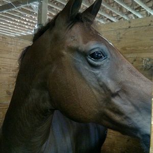 Meet your Posher, Laura